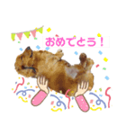 neu＆andy2（個別スタンプ：8）