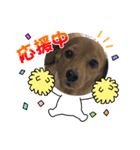 犬らぶ❤️らぶ❤️（個別スタンプ：7）