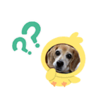 犬らぶ❤️らぶ❤️（個別スタンプ：8）