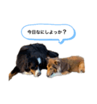 レオンくん 2（個別スタンプ：4）