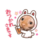 スフィンクス猫の桃乃助（個別スタンプ：4）