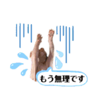 スフィンクス猫の桃乃助（個別スタンプ：12）