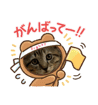 あんことおもちの日常（個別スタンプ：3）