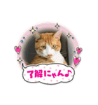 あんことおもちの日常（個別スタンプ：10）