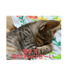 あんことおもちの日常（個別スタンプ：22）