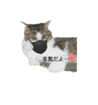 esアニマルズ2（個別スタンプ：2）
