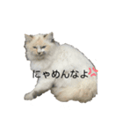 esアニマルズ2（個別スタンプ：13）