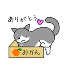 うちの猫がお返事するよ Part2（グレー ）（個別スタンプ：23）