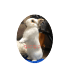 うさぎのふう太（個別スタンプ：4）
