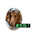 ぼくはクッキー（個別スタンプ：15）