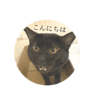 じゅじゅくんスタンプ（個別スタンプ：1）