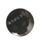 じゅじゅくんスタンプ（個別スタンプ：2）