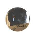 じゅじゅくんスタンプ（個別スタンプ：11）