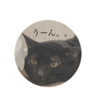 じゅじゅくんスタンプ（個別スタンプ：14）