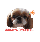 ももの日常 3（個別スタンプ：1）