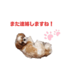 ももの日常 3（個別スタンプ：13）