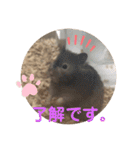我が家の可愛い大家族 (第5弾)敬語など（個別スタンプ：1）