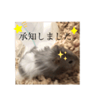 我が家の可愛い大家族 (第5弾)敬語など（個別スタンプ：2）