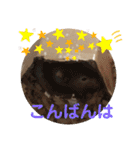 我が家の可愛い大家族 (第5弾)敬語など（個別スタンプ：5）