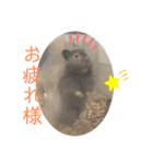 我が家の可愛い大家族 (第5弾)敬語など（個別スタンプ：6）