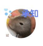 我が家の可愛い大家族 (第5弾)敬語など（個別スタンプ：14）