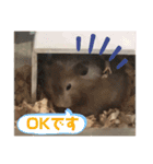 我が家の可愛い大家族 (第5弾)敬語など（個別スタンプ：15）