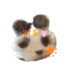 吉之助＆きなこ(総集編)（個別スタンプ：1）