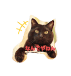 吉之助＆きなこ(総集編)（個別スタンプ：15）