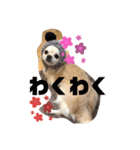 吉之助＆きなこ(総集編)（個別スタンプ：22）