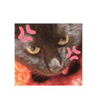 吉之助＆きなこ(総集編)（個別スタンプ：29）