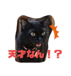 吉之助＆きなこ(総集編)（個別スタンプ：34）