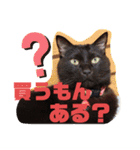 吉之助＆きなこ(総集編)（個別スタンプ：38）