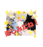 吉之助＆きなこ(総集編)（個別スタンプ：40）