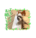 ちゃ助のスタンプ（個別スタンプ：2）