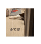 ちゃ助のスタンプ（個別スタンプ：19）
