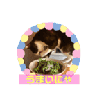ちゃ助のスタンプ（個別スタンプ：22）