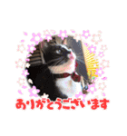 ちゃ助のスタンプ（個別スタンプ：27）