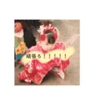 販売停止目前（個別スタンプ：11）