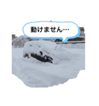 てしスタンプDX（個別スタンプ：27）