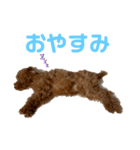 くうのスタンプ1.（個別スタンプ：8）