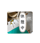 ハジ＆キリ猫の日常❸（個別スタンプ：4）
