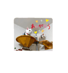 ハジ＆キリ猫の日常❸（個別スタンプ：8）