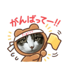 いろいろ使える、日常ネコちょこスタンプ（個別スタンプ：11）
