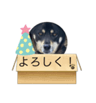 日常で使えるアズキちゃんスタンプ（個別スタンプ：2）