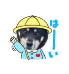 日常で使えるアズキちゃんスタンプ（個別スタンプ：16）