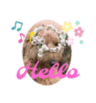 ヴィ〜ちゃんスタンプ2（個別スタンプ：1）
