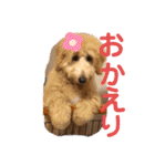 ヴィ〜ちゃんスタンプ2（個別スタンプ：3）