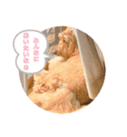 ヴィ〜ちゃんスタンプ2（個別スタンプ：10）