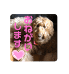 ヴィ〜ちゃんスタンプ2（個別スタンプ：11）