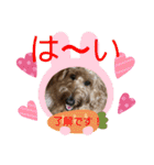 ヴィ〜ちゃんスタンプ2（個別スタンプ：20）